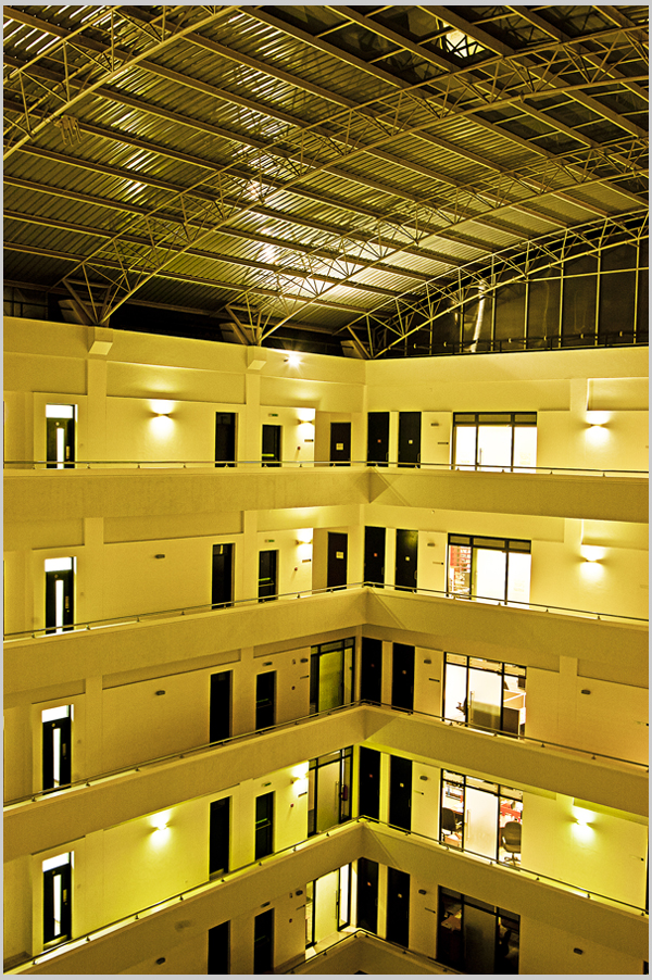 The Atrium, 2010 — image 5 of 9
